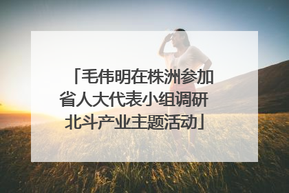 毛伟明在株洲参加省人大代表小组调研北斗产业主题活动