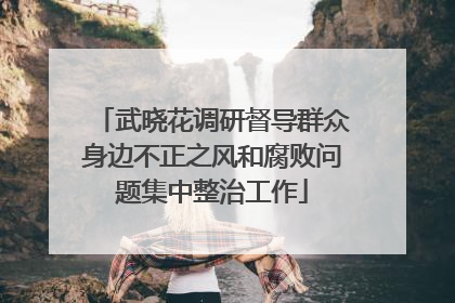 武晓花调研督导群众身边不正之风和腐败问题集中整治工作