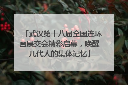武汉第十八届全国连环画展交会精彩启幕，唤醒几代人的集体记忆