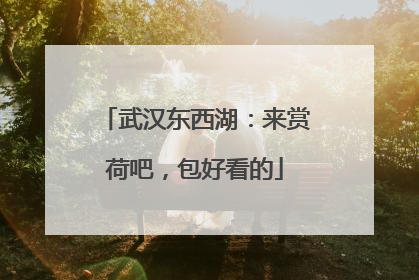 武汉东西湖：来赏荷吧，包好看的
