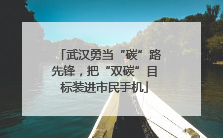 武汉勇当“碳”路先锋，把“双碳”目标装进市民手机