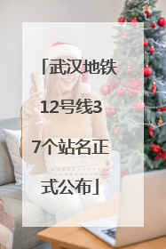 武汉地铁12号线37个站名正式公布