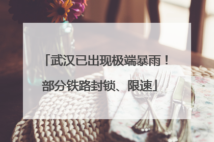 武汉已出现极端暴雨！部分铁路封锁、限速