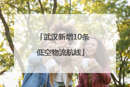 武汉新增10条低空物流航线