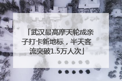 武汉最高摩天轮成亲子打卡新地标，半天客流突破1.5万人次