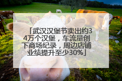 武汉汉堡节卖出约34万个汉堡，车流量创下商场纪录，周边店铺业绩提升至少30%