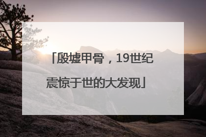 殷墟甲骨，19世纪震惊于世的大发现