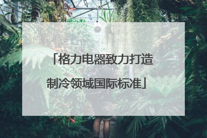 格力电器致力打造制冷领域国际标准