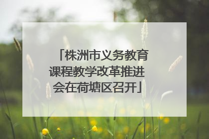 株洲市义务教育课程教学改革推进会在荷塘区召开