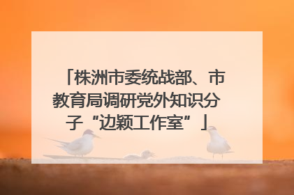 株洲市委统战部、市教育局调研党外知识分子“边颖工作室”