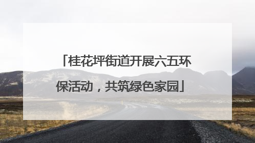 桂花坪街道开展六五环保活动，共筑绿色家园