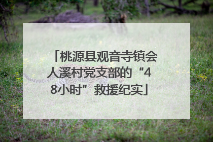 桃源县观音寺镇会人溪村党支部的“48小时”救援纪实