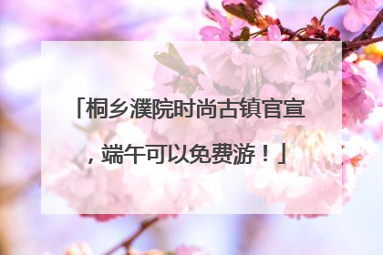 桐乡濮院时尚古镇官宣，端午可以免费游！