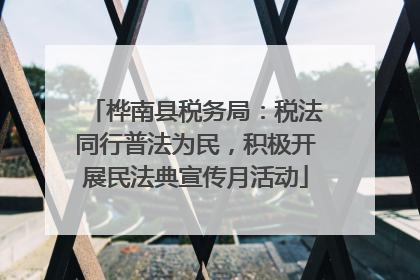 桦南县税务局:税法同行普法为民,积极开展民法典宣传月活动