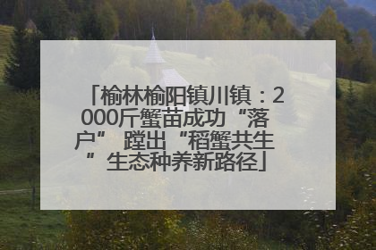 榆林榆阳镇川镇：2000斤蟹苗成功“落户” 蹚出“稻蟹共生”生态种养新路径
