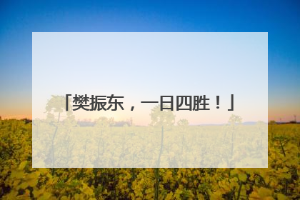 樊振东，一日四胜！