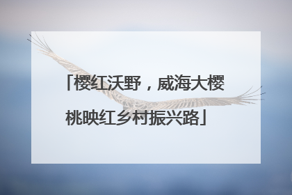 樱红沃野，威海大樱桃映红乡村振兴路