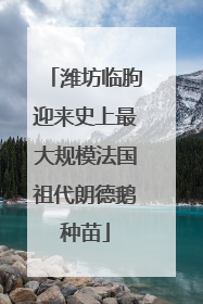 潍坊临朐迎来史上最大规模法国祖代朗德鹅种苗