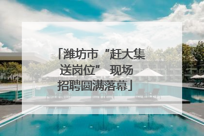 潍坊市“赶大集 送岗位” 现场招聘圆满落幕