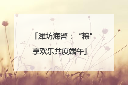 潍坊海警：“粽”享欢乐共度端午