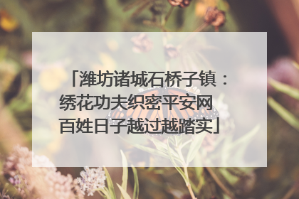 潍坊诸城石桥子镇：绣花功夫织密平安网 百姓日子越过越踏实