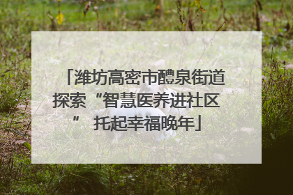 潍坊高密市醴泉街道探索“智慧医养进社区” 托起幸福晚年