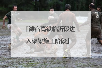 潍宿高铁临沂段进入架梁施工阶段