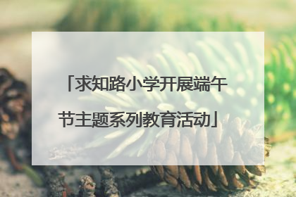 求知路小学开展端午节主题系列教育活动