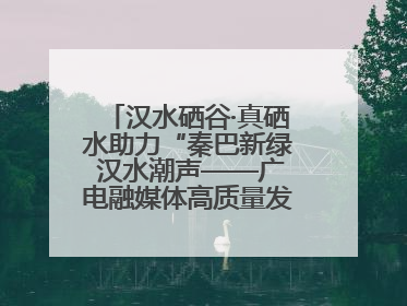 汉水硒谷·真硒水助力“秦巴新绿 汉水潮声——广电融媒体高质量发展陕西采访行”