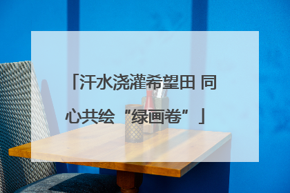 汗水浇灌希望田 同心共绘“绿画卷”