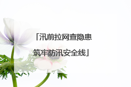 汛前拉网查隐患 筑牢防汛安全线