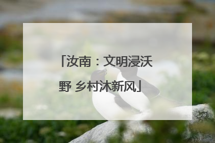 汝南：文明浸沃野 乡村沐新风