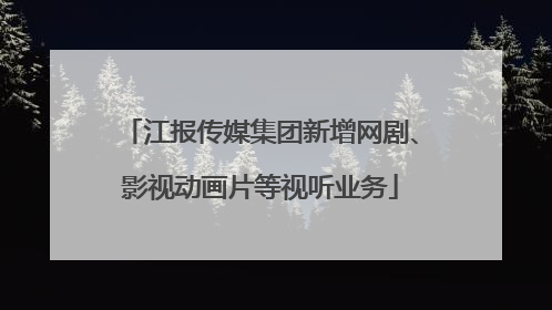 江报传媒集团新增网剧、影视动画片等视听业务