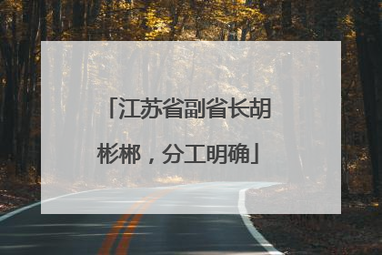江苏省副省长胡彬郴,分工明确