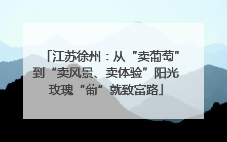 江苏徐州：从“卖葡萄”到“卖风景、卖体验”阳光玫瑰“葡”就致富路