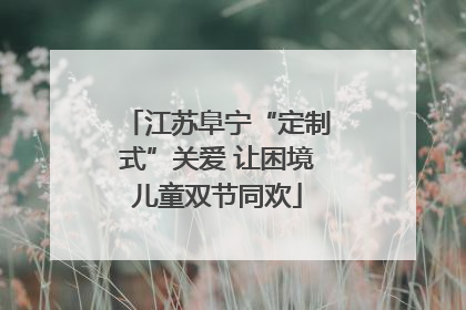 江苏阜宁“定制式”关爱 让困境儿童双节同欢