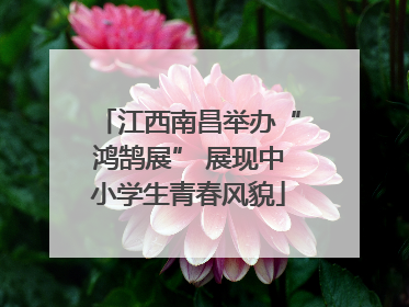 江西南昌举办“鸿鹄展” 展现中小学生青春风貌