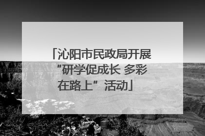 沁阳市民政局开展“研学促成长 多彩在路上”活动