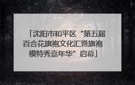 沈阳市和平区“第五届百合花旗袍文化汇暨旗袍模特秀嘉年华”启幕