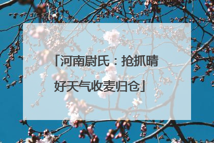 河南尉氏：抢抓晴好天气收麦归仓