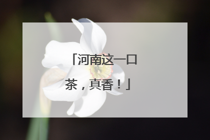 河南这一口茶，真香！