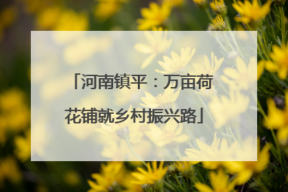 河南镇平：万亩荷花铺就乡村振兴路