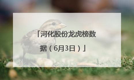 河化股份龙虎榜数据（6月3日）
