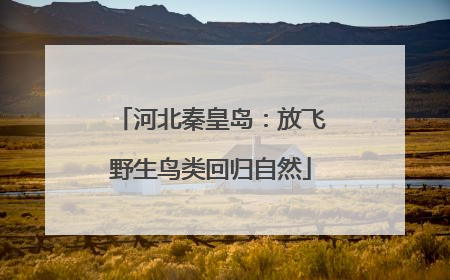 河北秦皇岛：放飞野生鸟类回归自然