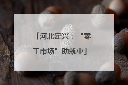 河北定兴：“零工市场”助就业