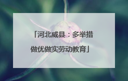 河北威县：多举措做优做实劳动教育