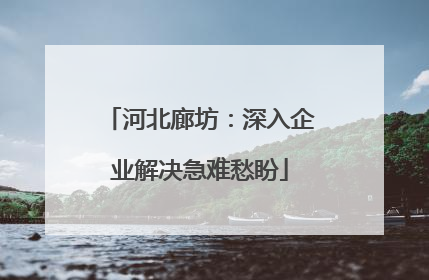 河北廊坊：深入企业解决急难愁盼