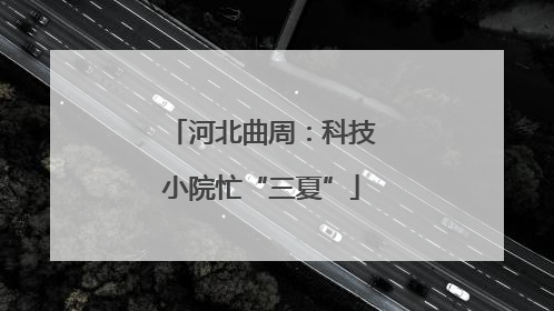 河北曲周：科技小院忙“三夏”