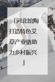 河北馆陶打造特色艾草产业链助力乡村振兴