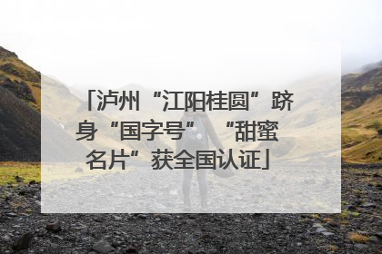 泸州“江阳桂圆”跻身“国字号” “甜蜜名片”获全国认证